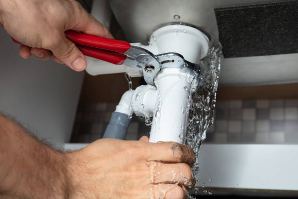 Best Professional water damage repair  in Gold Beach, OR