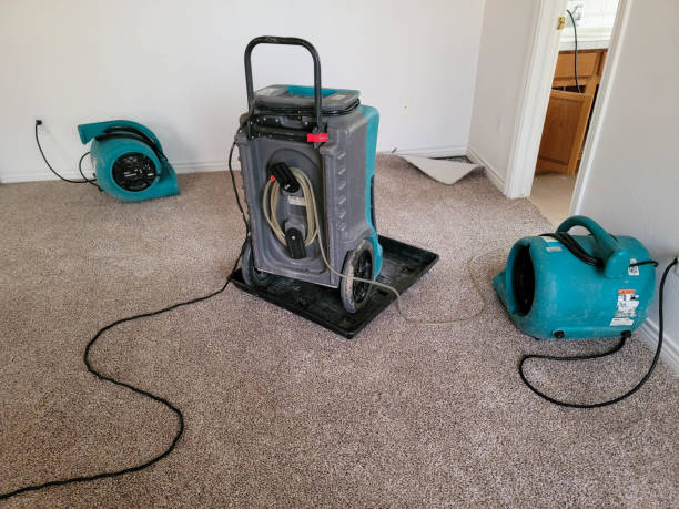 Best Commercial water damage restoration  in Gold Beach, OR