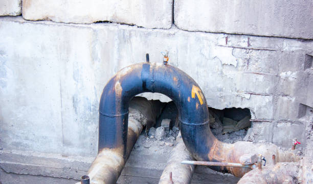 Best Mold removal after water damage  in Gold Beach, OR