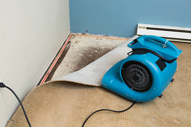Best Sewage cleanup and water damage restoration  in Gold Beach, OR